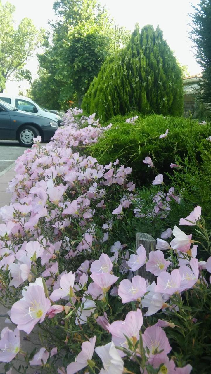 Nefeli Hotel Kozani Exterior foto